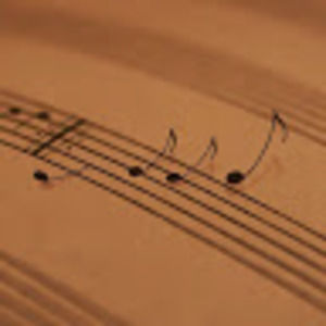 Meet your Posher, Sid